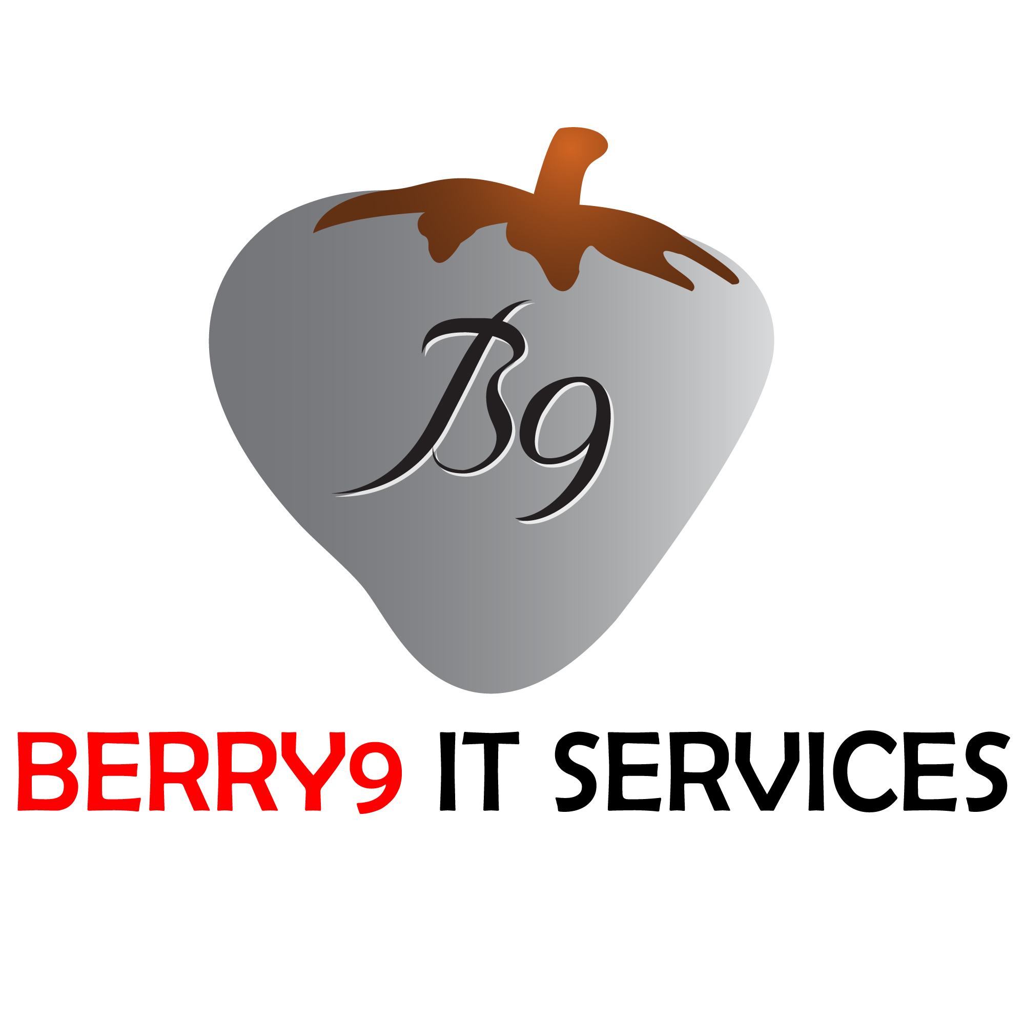 BERRY9 IT SERVICES — VAPT Services in Hyderabad & India